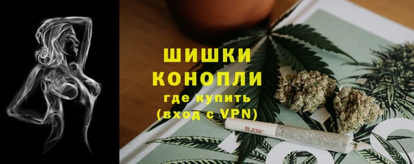 винт Богданович