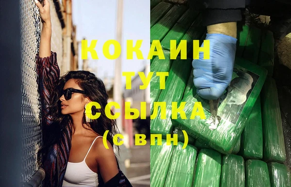 винт Богданович