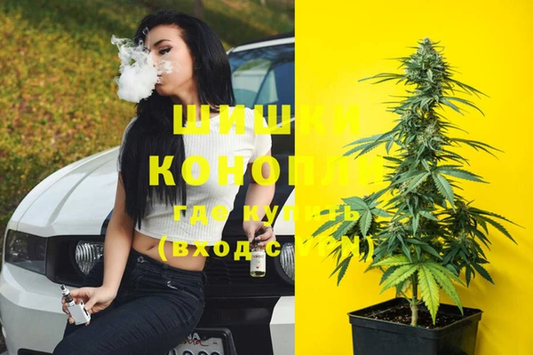винт Богданович