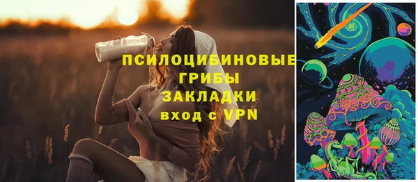 ПСИЛОЦИБИНОВЫЕ ГРИБЫ Богородицк