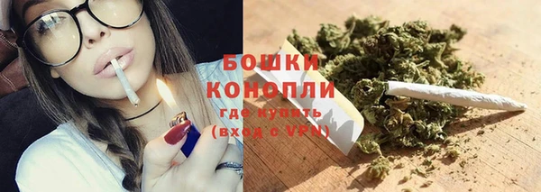 ПСИЛОЦИБИНОВЫЕ ГРИБЫ Богородицк