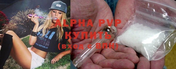 винт Богданович