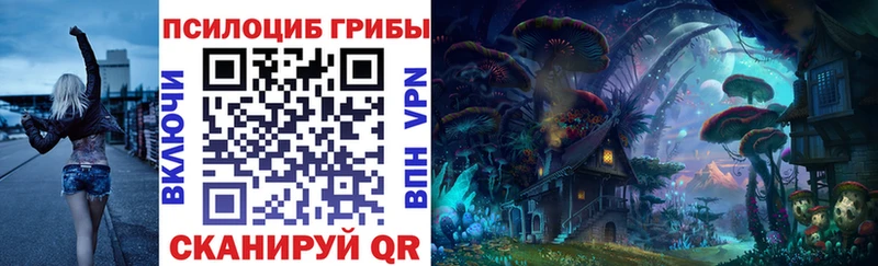 Галлюциногенные грибы Psilocybe  Волжск 