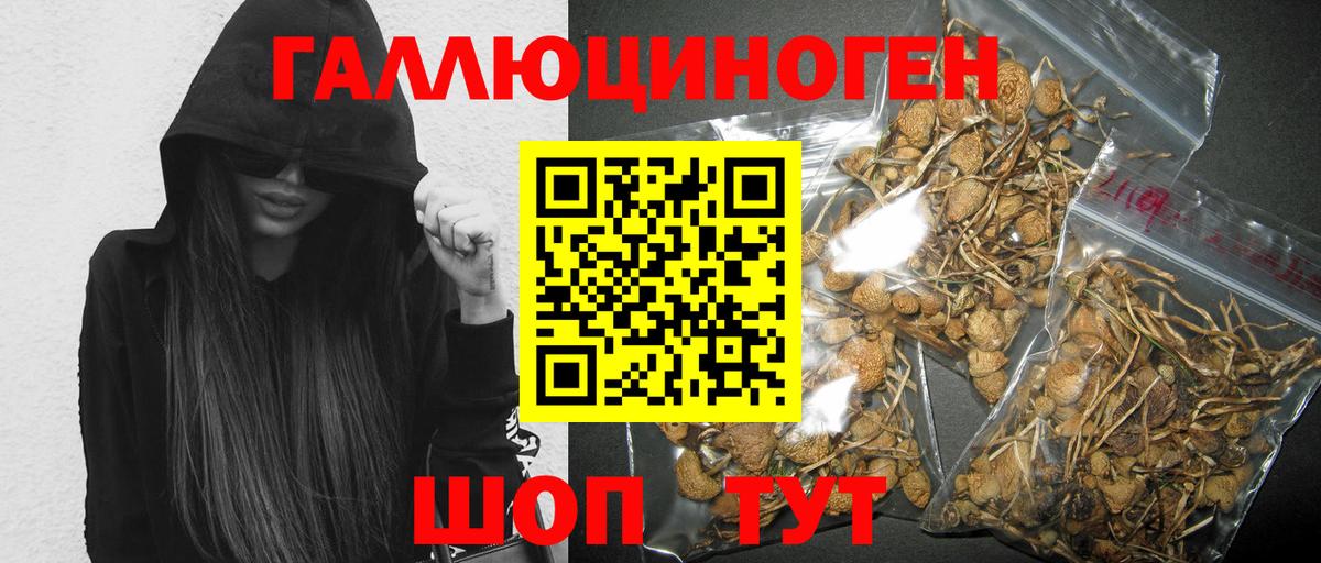 Галлюциногенные грибы MAGIC MUSHROOMS  Вход с VPN  Волжск 
